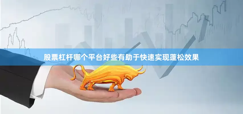 股票杠杆哪个平台好些有助于快速实现蓬松效果