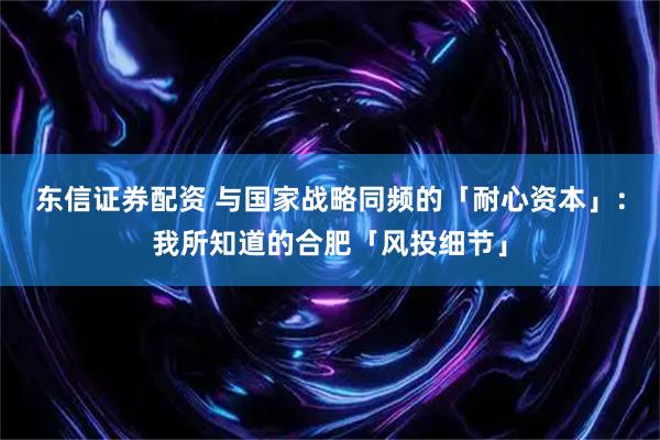 东信证券配资 与国家战略同频的「耐心资本」：我所知道的合肥「风投细节」