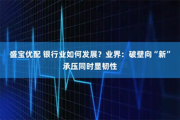 盛宝优配 银行业如何发展？业界：破壁向“新”承压同时显韧性