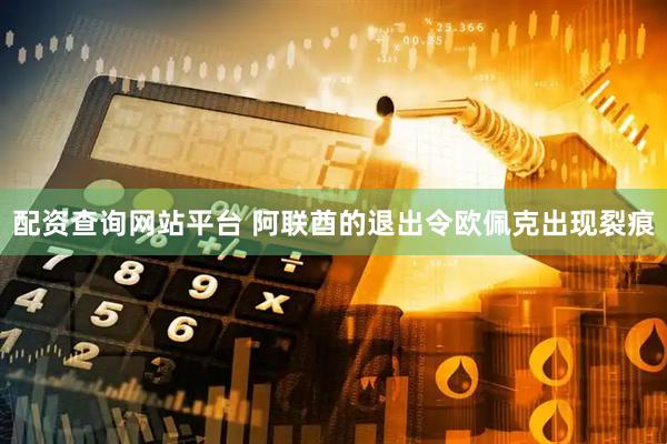 配资查询网站平台 阿联酋的退出令欧佩克出现裂痕
